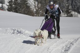 Kandersteg 2013